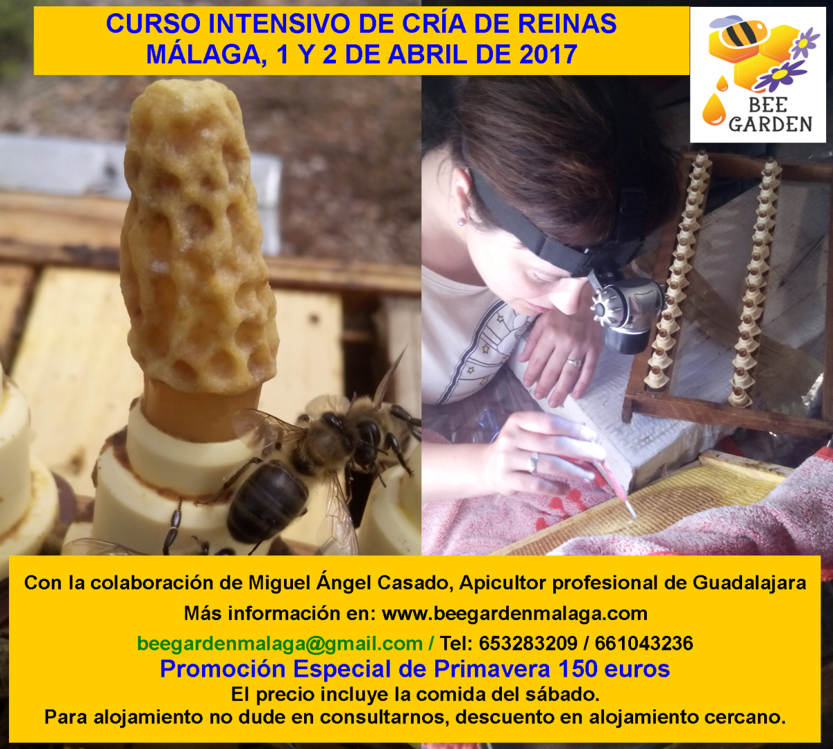 Curso Cría de Reinas Bee Garden Bee Garden
