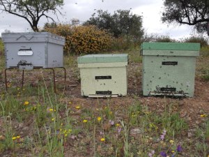 Colmena perfección, dadant y layens. www.beegardenmalaga.com