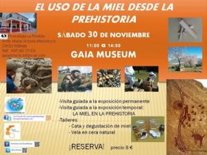 taller-de-apicultura-www-beegardenmalaga-com