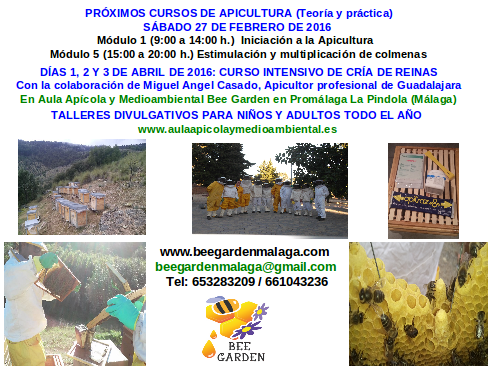 Cartel curso febrero