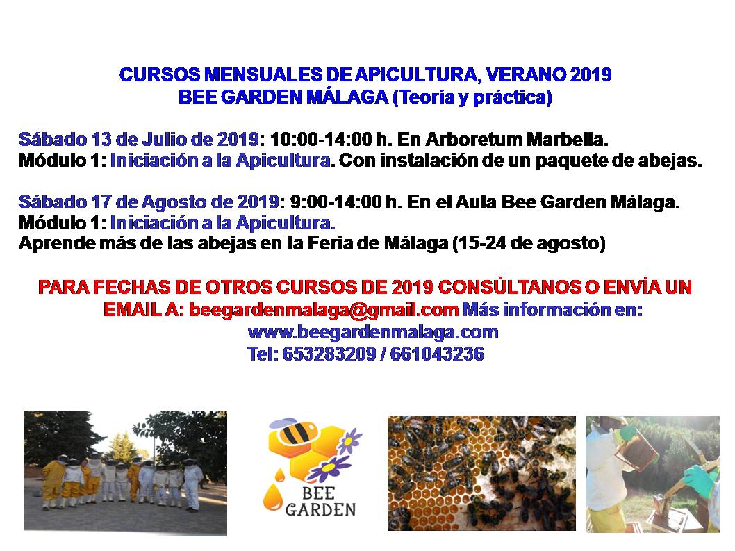 Cartel 2019 PRIMEROS Cursos Verano 2019