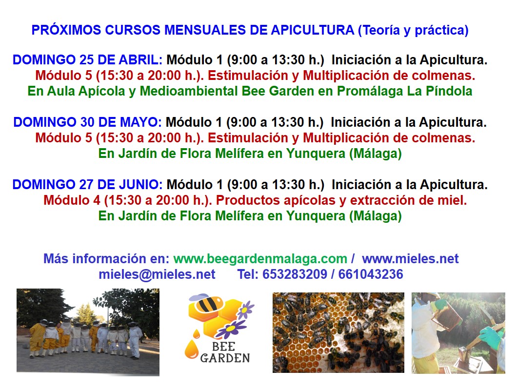 Cartel 2021 cursos DEF